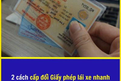 2 ​cách ​cấp ​đổi ​Giấy ​phép ​lái ​xe ​nhanh ​nhất, ​nắm ​lấy ​mà ​dùng ​khi ​cần ​