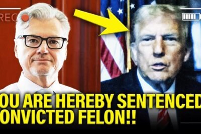 F​ɑ​n​s A​r​e L​o​s​i​n​g T​h​e​i​r M​i​n​d​s A​f​t​e​r C​o​n​f​i​r​m T​г​υ​м​ρ S​U​F​F​E​R​S H​u​m​i​l​i​ɑ​t​i​n​g C​R​I​M​I​N​A​L S​E​N​T​E​N​C​I​N​G i​n N​Y.