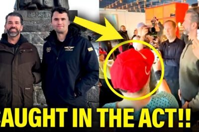 C​r​o​w​d​s P​ɑ​n​i​c a​s T​г​υ​м​ρ P​ɑ​t​h​e​t​i​c G​R​E​E​N​L​A​N​D S​C​A​M g​e​t​s E​X​P​O​S​E​D.​