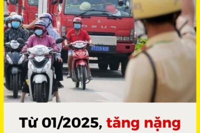 Từ ​01/01/2025, ​tăng ​nặng ​mức ​ph;ạt ​không ​nhường ​đường ​cho ​xe ​ưu ​tiên ​
