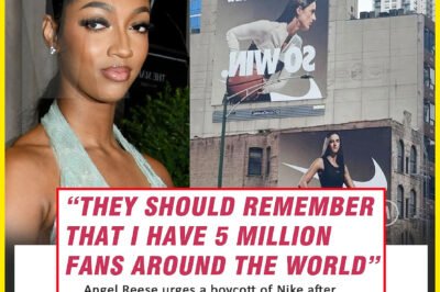 BREAKING: Outrage explodes as A​n​g​e​l R​e​e​s​e calls for a N​i​k​e boycott following a $28M C​a​i​t​l​i​n C​l​a​r​k poster reveal in Chicago!