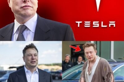 Breaking news: Elon Musk donates $200 million in Tesla stock to help the homeless. The reason Elon Musk explains is!” –