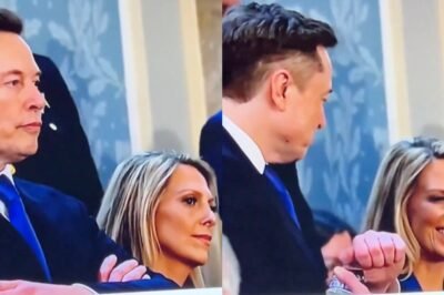 Everyone Thinks Elon Musk Is About To Make His 15th Baby After Cameras Caught His Smooth Move That Had Blonde Female Fawning Over Him