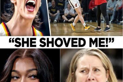 JUST IN: CH⁠ERYL RE⁠EVE PUSHES CA⁠ITLIN CL⁠ARK During A SECRET WNBA GAME—THE SITUATION EXPLODES INTO CHAOS!