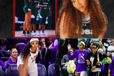 Just in: A⁠ngel Re⁠ese ACCEPTS HER NEW TITLE, following a MEMORABLE ENCOUNTER WITH A WNBA ICON—her journey to STARDOM IN CHICAGO is just beginning!