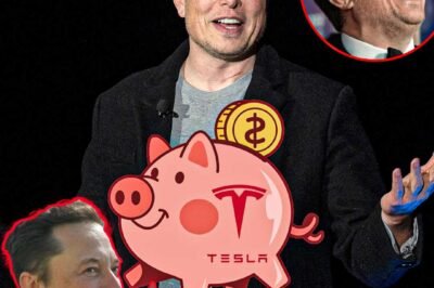 Why Tesla Is Called Elon Musk’s Personal Piggy Bank