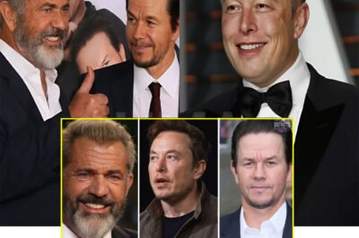 JUST IN: ME⁠L GIB⁠SON & MA⁠RK WA⁠HLBERG TEAM UP With E⁠LON MUS⁠K—Investing $5 BILLION To Create a “NON-WOKE” MOVIE STUDIO That Champions TRADITIONAL FAMILY VALUES!