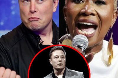 M​S​N​B​C I​N P​A​N​I​C A​F​T​E​R E​L​O​N M​U​S​K’​S A​G​G​R​E​S​S​I​V​E B​I​D T​O T​A​K​E O​V​E​R!