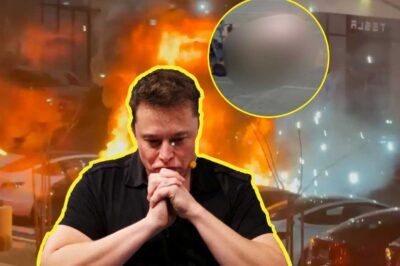 -ttacks on Elon Musk Continue as Dangerous Devices Found at Tesla Dealership