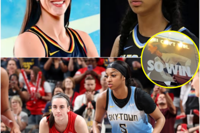 Angel Reese Calls foг Nike Boycott Over Caitlin Clark’s $28 Million Deal and Chicago Billboard.