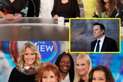 Elon Musk called for a boycott of The View, calling it “a meeting place for ignorant women.”