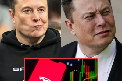 No More Friends: Elon Musk Pleaded, But Trump Said No