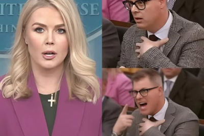 THIS JUST HAPPENED: Shocking Fallout—Reporter FIRED After INSULTING Karoline Leavitt on Live TV! 