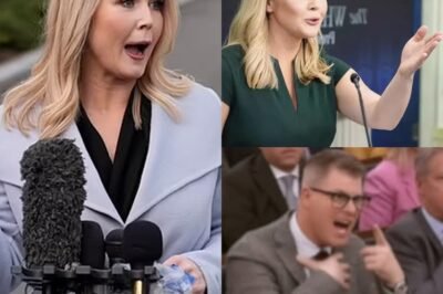FOX NEWS SHOCKER: Reporter FIRED After Insulting Karoline Leavitt LIVE—Her Blistering Response Leaves Everyone Stunned! What Was Said That Sparked the Dramatic Fallout? The Explosive Moment on Air That Led to the Reporter’s Immediate Firing—And How Karoline Leavitt Handled the Situation with Unbelievable Strength! Get the Full Inside Scoop on This Jaw-Dropping TV Moment That’s Going VIRAL!