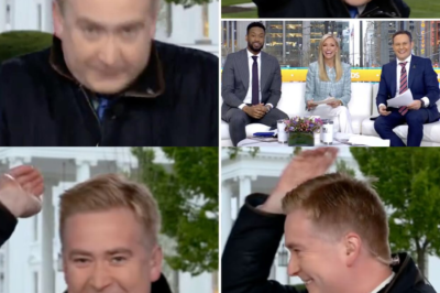 Fox News’ Peter Doocy says he’s having ‘too much fun’ on the White House beat to think about leaving to host a show