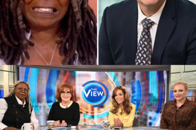 ABC CEO drops bombshell: It’s time to finally kill The View, the worst show on television