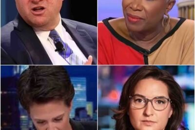 Inside MSNBC’s secret plot to get rid of Joy Reid after her woke rants gave bosses ‘heartburn’