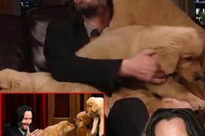 Incredible hero: Keanu Reeves rescued and built a farm to raise dogs after the massive flood in Texas caused a lot of damage and left the dogs homeless. That moment shocked and saddened the whole of America…