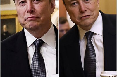 BREAKING: Elon Musk Swears to Drive Tesla ‘To the Grave’ if Needed — Vows to Outlast Every Hater and Doubter Trying to Take Him Down!