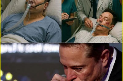 New Update: Elon Musk Brutally Attacked Just 15 Minutes Ago – Doctors Monitor Billionaire Entrepreneur Is Now in Critical Condition After  New Announcement… 