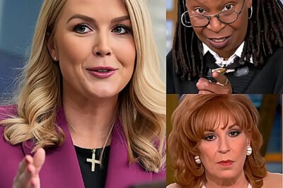“You’re afraid of the truth”: Karoline Leavitt shuts down The View with one hammer-blow sentence — Even the hosts didn’t see it coming — Then she took off her mic and said this.