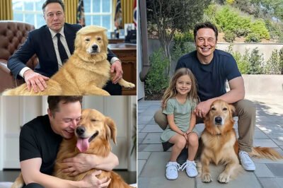 Elon Musk’s Heartwarming Family Moment Revealed: Did He Just Adopt a New Family Member? This Heartwarming Gesture in This Rare Photo Will Leave You Speechless!