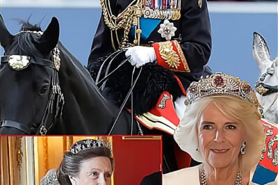 And just a few hours later, King Charles made a shocking announcement: Queen Camilla was officially stripped of her title.