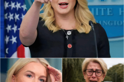 Leavitt Shocked Everyone by Criticizing the Crowd, Rushing to Defend the Phillies Karen, But Just Minutes Later Karoline Wιshᴇd She Had Neνer Sρσker 