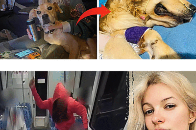 Breaking News: The Heartbreaking Bond That Death Couldn’t Break – Iryna Zarutska’s Beloved Dog Follows Her Into Eternity