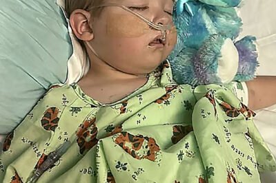 Liam’s Courage: A Little Boy’s Fight with Love and Strength.