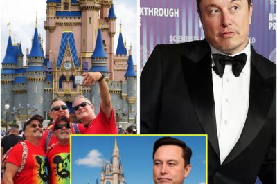 BREAKING: Elon Musk just ignited a firestorm — officially blocking Disney Pride content on X, declaring “WOKE is not for kids.” Within minutes, chaos erupted online, sparking outrage, boycotts, and conspiracy theories about what Musk’s next move really means for freedom of speech…