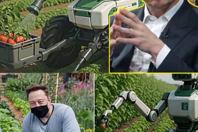 “From Fields to the Future”: Elon Musk Joins Forces with John Deere to Launch Satellite-Connected Smart Farms That Could Revolutionize Global Agriculture Forever