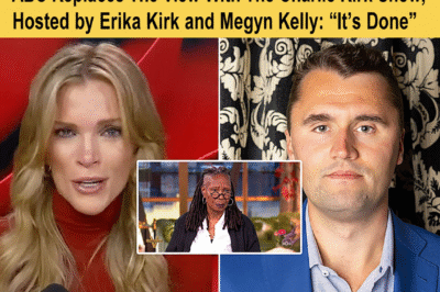 The television landscape shifted overnight. ABC stunned audiences by pulling the plug on The View—a show that had defined daytime chatter for decades.