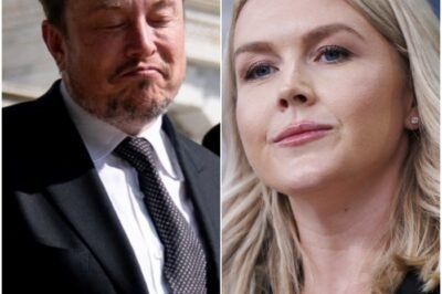 TV studio stunned as Musk fires a 7-word retort after Leavitt brands him a troublemaker