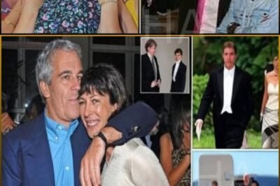 “THEY THOUGHT THEY BURIED HER STORY — BUT THE GRAVE JUST CRACKED OPEN.”