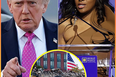 Jasmine Crockett said: ” Chile Donald Trump done took his butt back up in the White House like he never left and said, “We gon’ do a lil renovation.” BABY — this ain’t no renovation, this a rich-people playground!