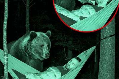 The Midnight Kiss — When the Wild Tested a Man’s Courage