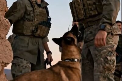 “THE DESERT DOESN’T LIE — PEOPLE DO.”