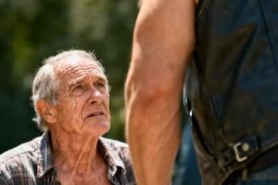 The park was quiet that afternoon—the kind of quiet that only comes when the world forgets to look your way.