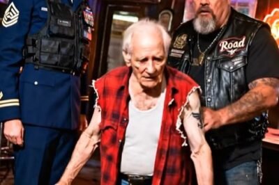 On a Tuesday night in coastal Virginia, the Harbor Dog was doing what it always did best—pretending not to notice anyone’s ghosts.