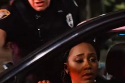 THEY SAID SHE “MATCHED A SUSPICIOUS VEHICLE.” BUT EVERYTHING CHANGED THE MOMENT HER HUSBAND STEPPED INTO THE LIGHT.