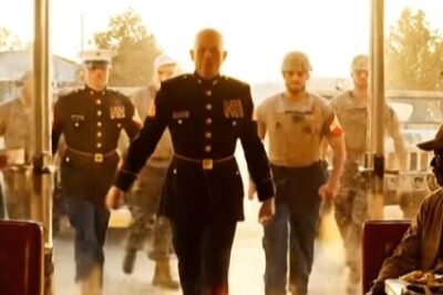 The first time Grace Donnelly got yelled at over a dog, she laughed it off.  The second time, she lost her job.