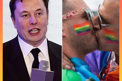 “THE COMMENT THAT SET THE INTERNET ON FIRE”