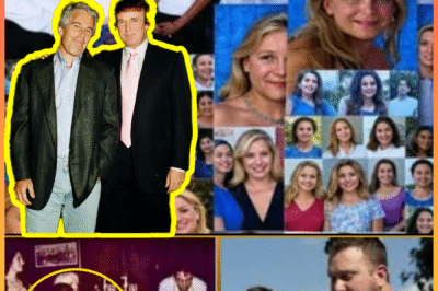 “THE LETTER THAT SHOOK CONGRESS — AND THE SECRET EVERYONE’S AFRAID TO UNSEAL.”