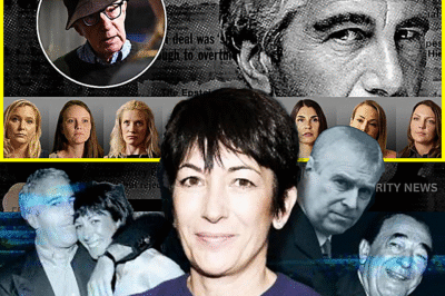 “THE ROOM FELL SILENT — THEN WOODY ALLEN SAID THE ONE LINE NO ONE FORGOT.”