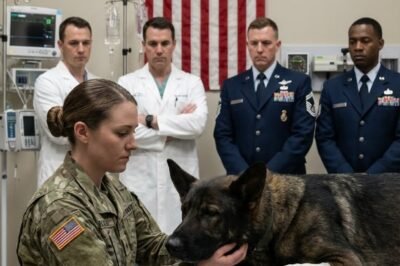 “It’s me.” The wounded K9 stopped fighting the moment the rookie SEAL spoke the unit’s secret code.