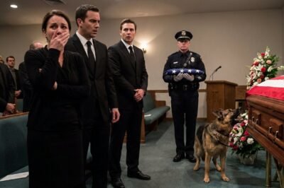 The flag was folded once, then again, then into that tight, perfect triangle you only see at American police funerals.