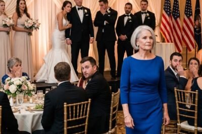**“THAT’S NOT HIS MOTHER — JUST SOME SHABBY WOMAN IN A DRESS!”  They humiliated me at my own son’s wedding… until I stood up, took the mic, and told them the truth.**