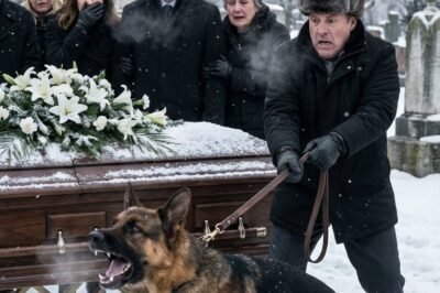 MY FATHER’S DOG WOULD NOT STOP BARKING AT THE COFFIN — SO I OPENED IT. What I saw made the entire room freeze.