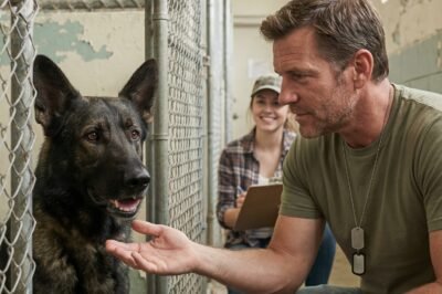 A retired war dog stared straight through his former handler—until one instinctive move shattered every rule of logic.